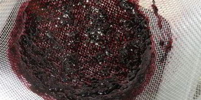 Рецепт черничного десерта