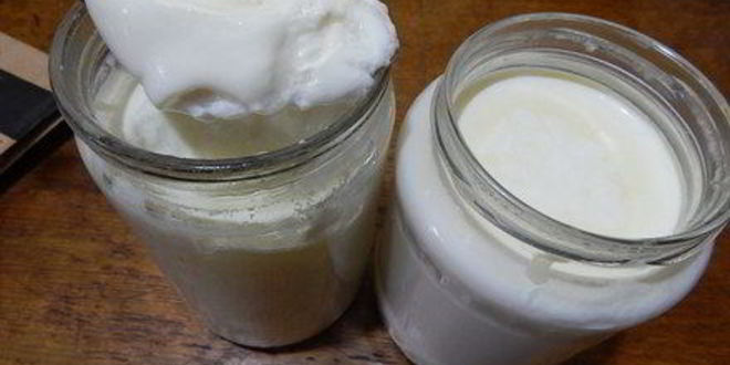 Рецепт йогурта