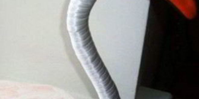 Рецепт лебедей из конфет