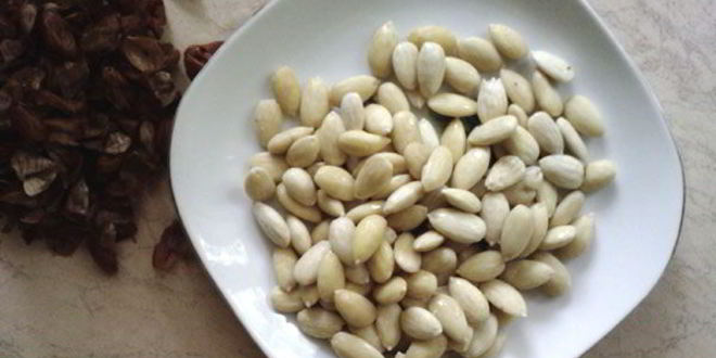 Рецепт марципановых конфет