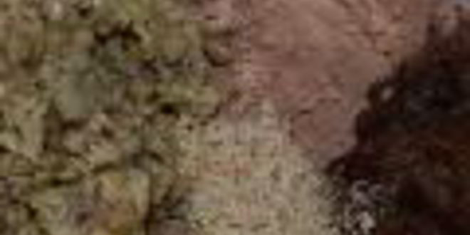 Рецепт постных конфет из чечевицы