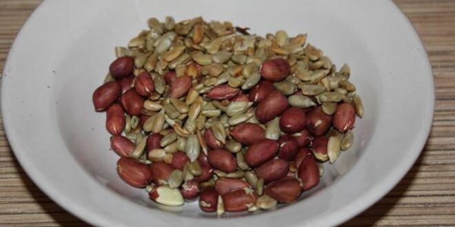 Рецепт шоколадных конфет из чечевицы