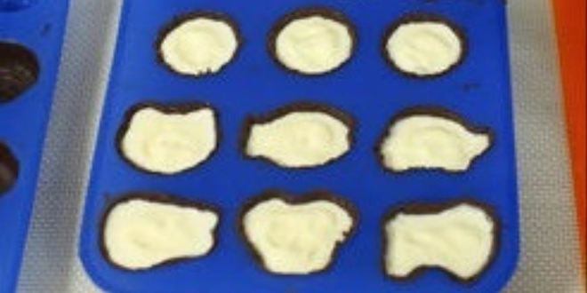 Рецепт шоколадных конфет с йогуртовым мороженым