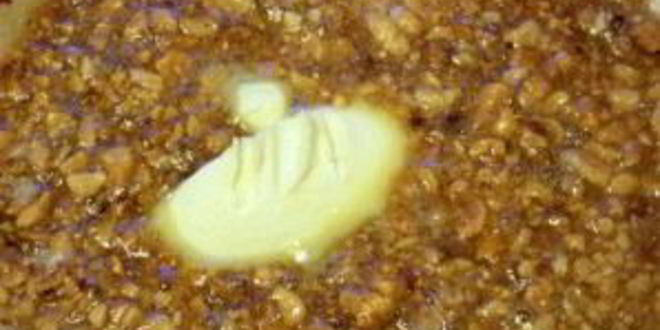 Рецепт козинаков из арахиса в карамели