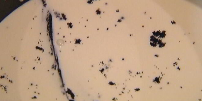 Рецепт бисквита с клубникой и сливочным кремом