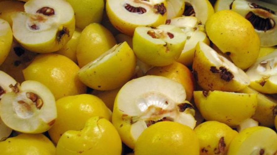 Рецепт домашнего айвового мармелада