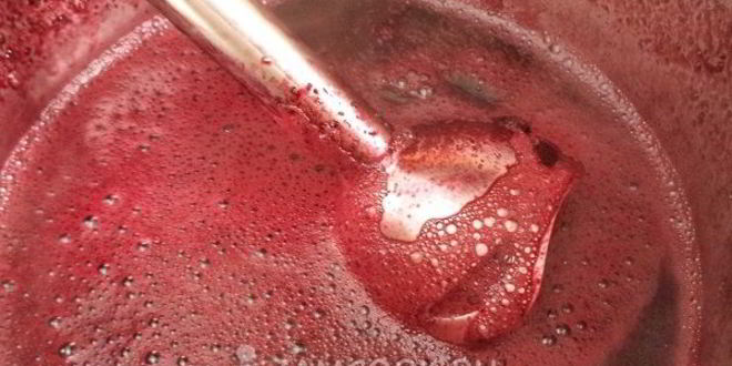 Рецепт мармелада с желатином