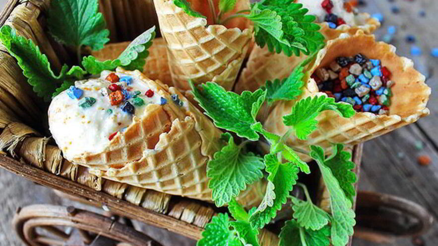 Рецепт домашнего мороженого из йогурта