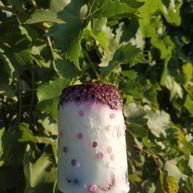 Рецепт Легкого йогуртового мороженого