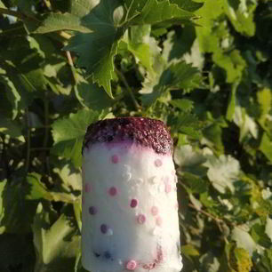 Рецепт Легкого йогуртового мороженого