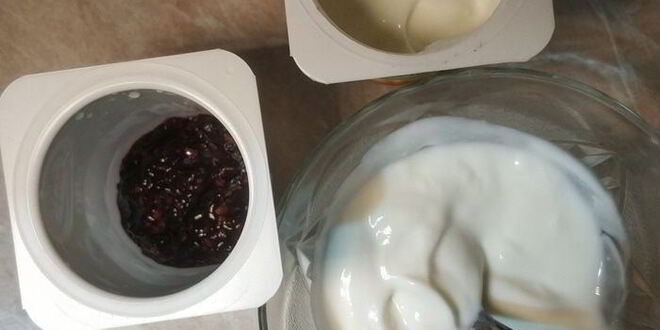 Рецепт легкого йогуртового мороженого