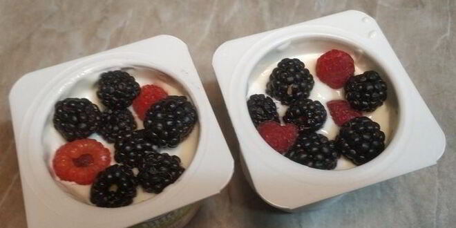 Рецепт легкого йогуртового мороженого