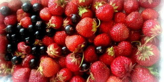 Рецепт мороженого в ягодном раю