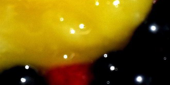 Рецепт мороженого в ягодном раю