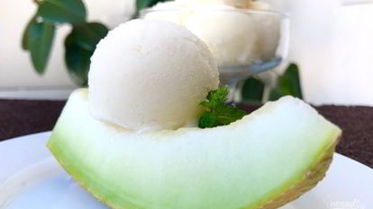 Рецепт Простого мороженого из дыни