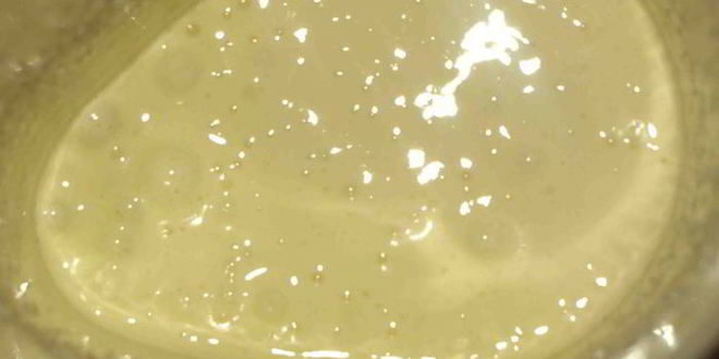 Рецепт томатного мороженого