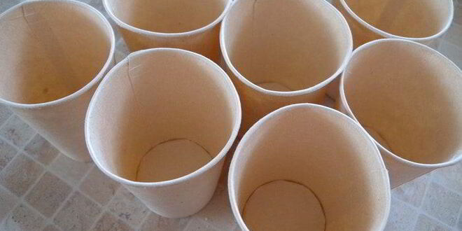 Рецепт вишневого мороженого с шоколадом