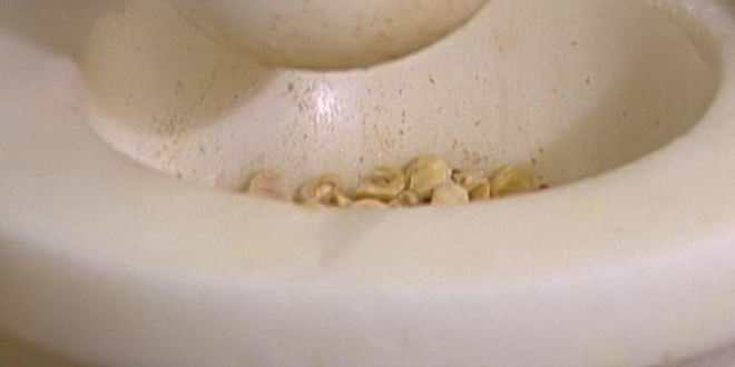 Рецепт шоколадного мусса с фундуком