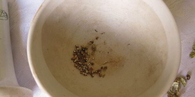 Рецепт кулича на александрийском тесте с кардамоном