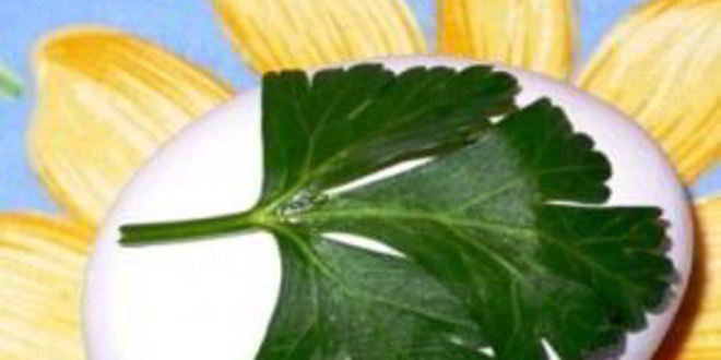 Рецепт пасхальных крашеных яиц