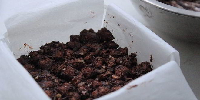 Рецепт пользы в шоколаде