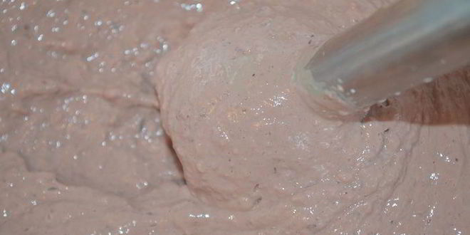 Рецепт террина-суфле три вкуса