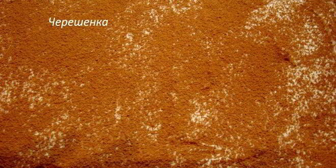 Рецепт тирамису шоколадный