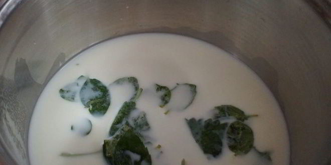 Рецепт торта-мороженого семифредо-тирамису