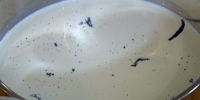 Рецепт венецианского рисового пудинга