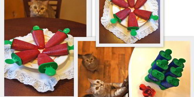 Рецепт ягодного сорбета