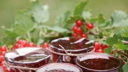 Рецепт Желе из красной смородины