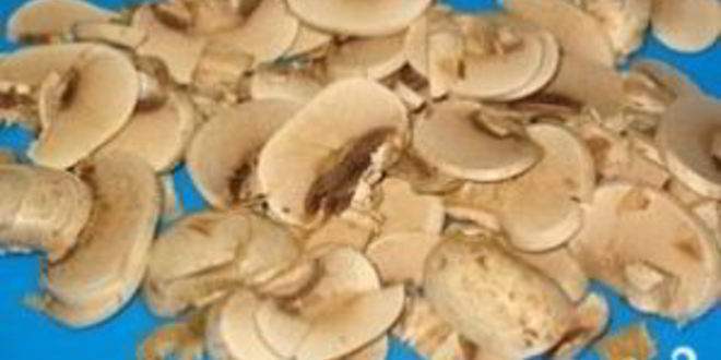 Рецепт жареной картошки с шампиньонами и луком