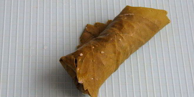 Рецепт долмы с рисом, изюмом и кедровыми орешками