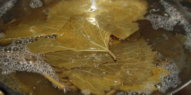 Рецепт долмы