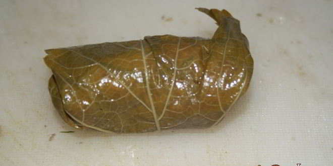 Рецепт долмы