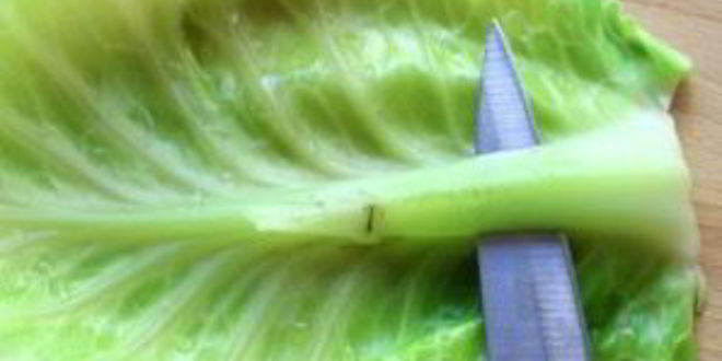 Рецепт голубцов с мясом