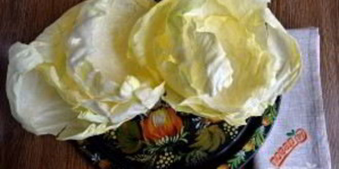 Рецепт голубцов в духовке со сметаной