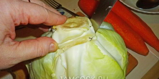 Рецепт квашеных голубцов с морковью