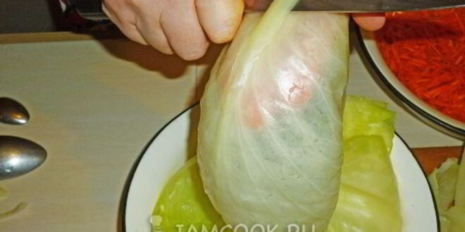 Рецепт квашеных голубцов с морковью
