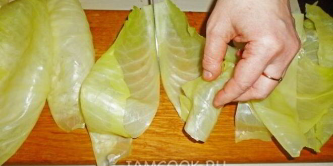 Рецепт квашеных голубцов с морковью