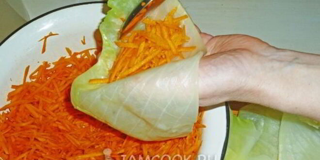 Рецепт квашеных голубцов с морковью