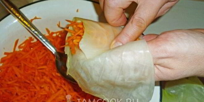 Рецепт квашеных голубцов с морковью