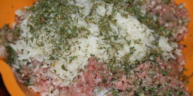 Рецепт весенних голубцов из фарша со свежей зеленью