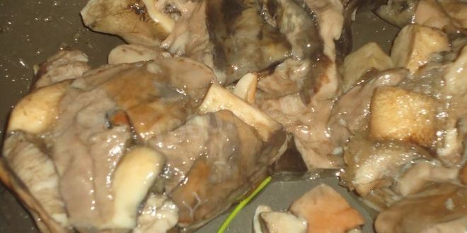 Рецепт белых грибов, жаренных в сливках