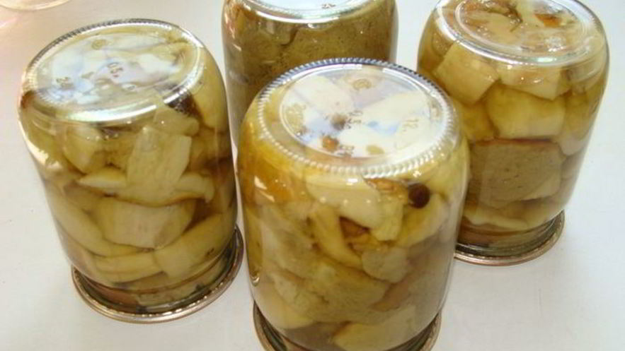 Рецепт грибов белых