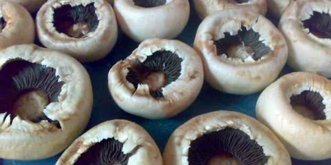 Рецепт грибов фаршированных