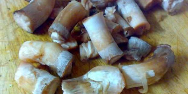 Рецепт грибов фаршированных