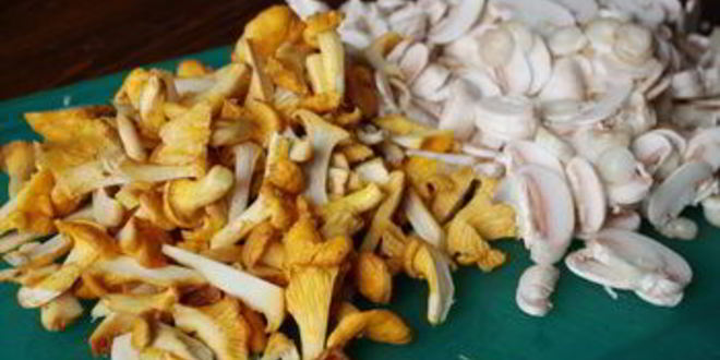 Рецепт грибов в сливочной заливке