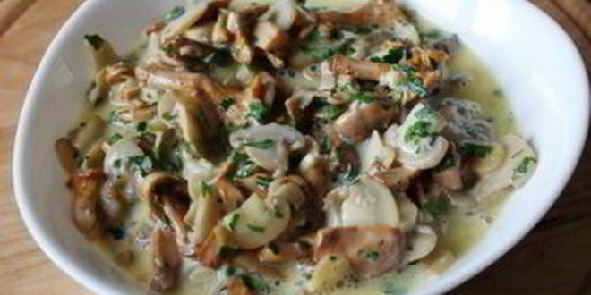 Рецепт грибов в сливочной заливке