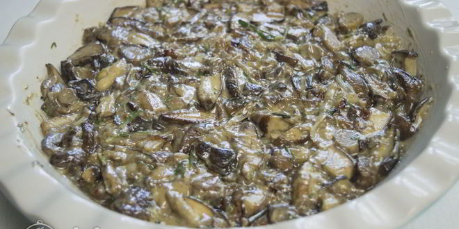 Рецепт грибов в сметане под сыром